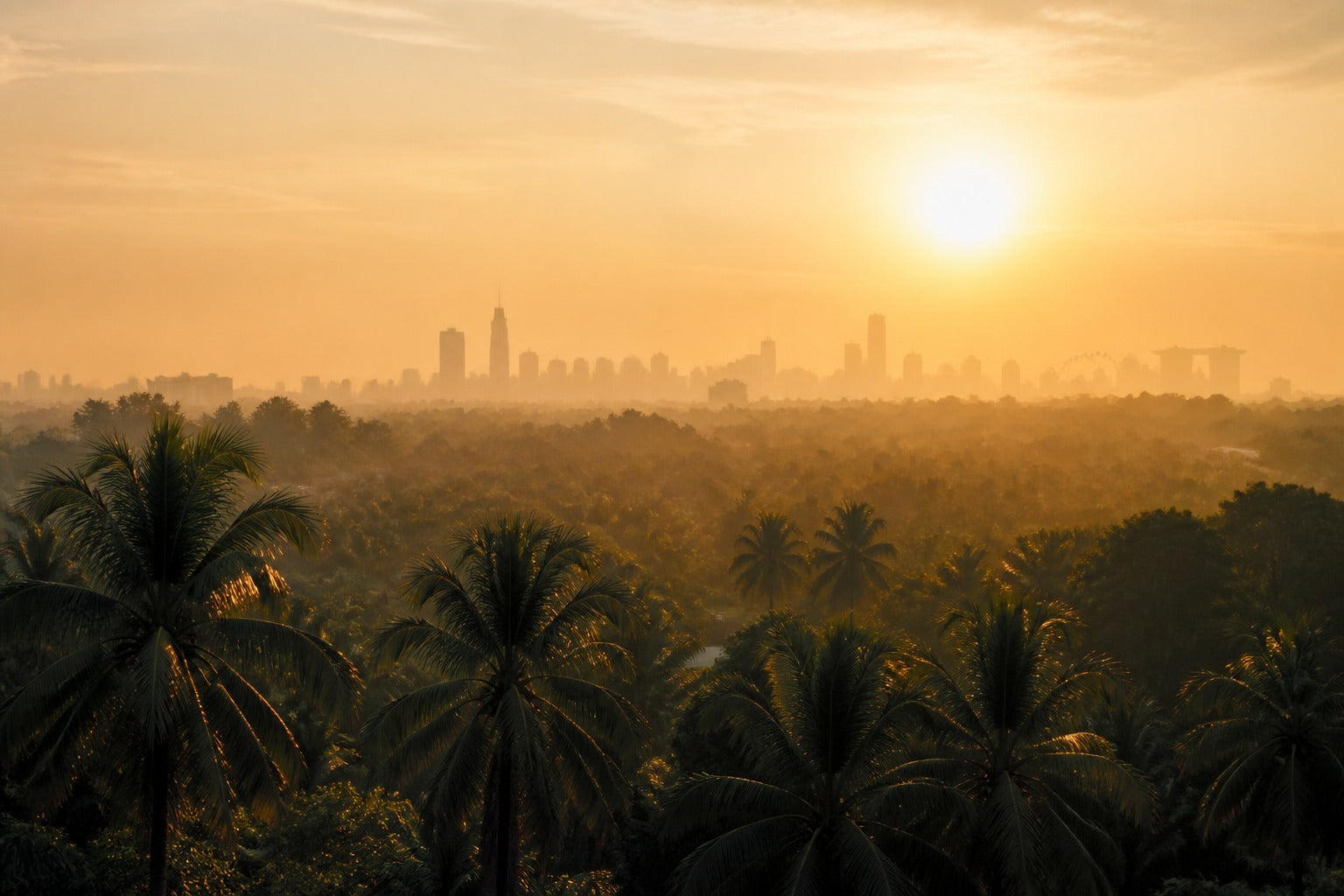 Malaysian sunrise cityscape with light haze — featured image for ORGANO TYGRON 2026 haze season lung protection guide