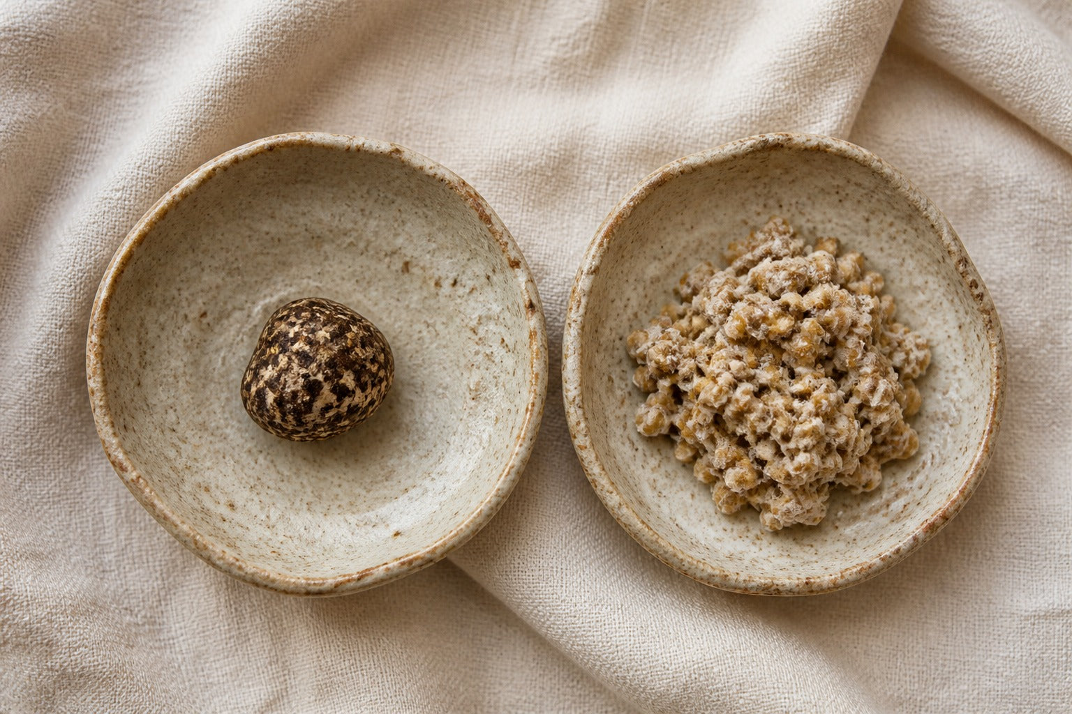 Two ceramic dishes — Tiger Milk Mushroom sclerotium beside grain-mycelium pile — featured image for ORGANO sclerotium vs mycelium guide