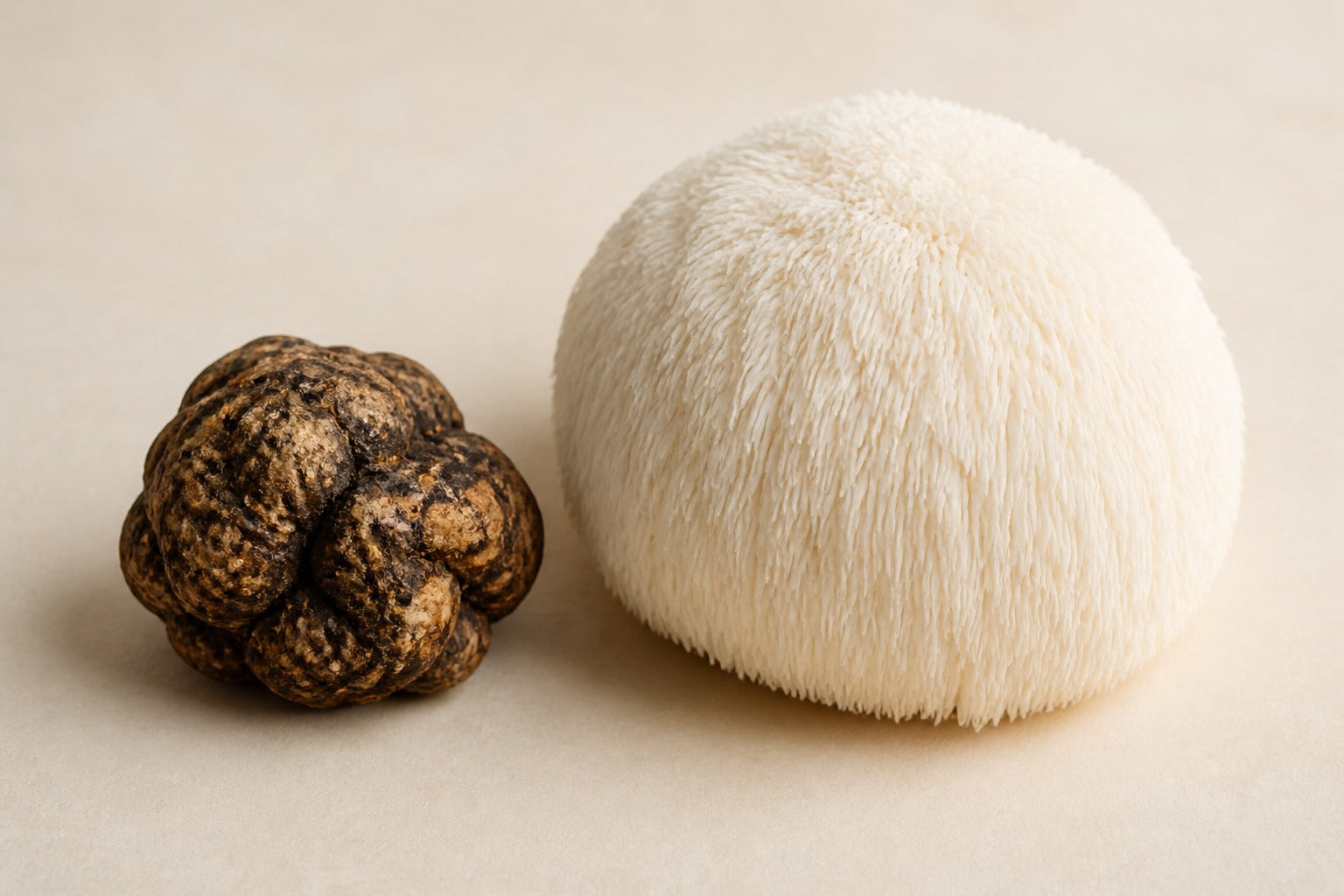 Tiger Milk Mushroom and Lion’s Mane mushroom side by side — featured image for ORGANO TYGRON Lung-Brain combination explained