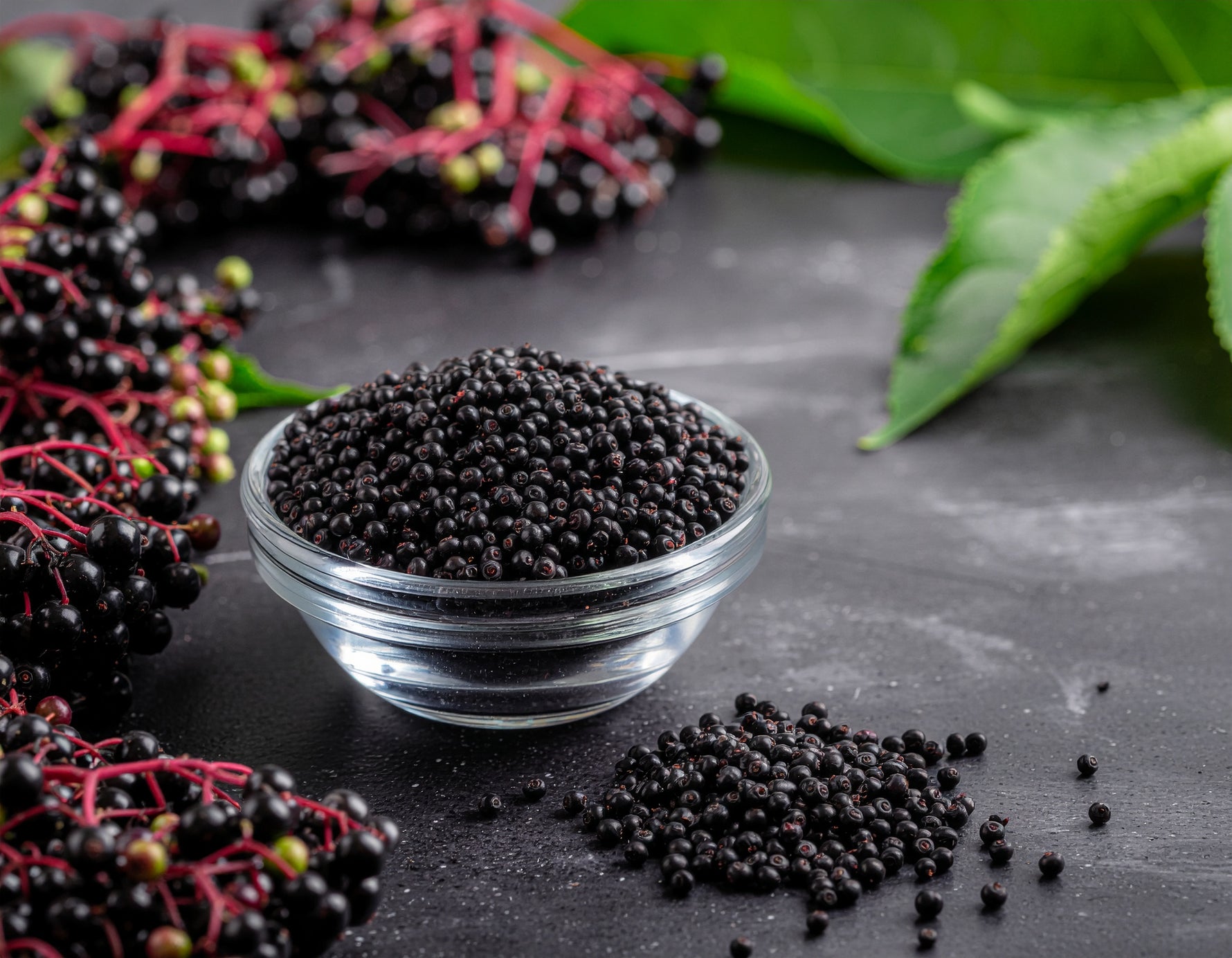 Elderberry fruit — a key TYGRON ingredient providing natural Vitamin C and anthocyanins