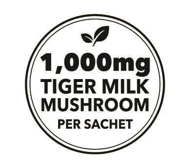 1,000 mg Tiger Milk Mushroom per sachet