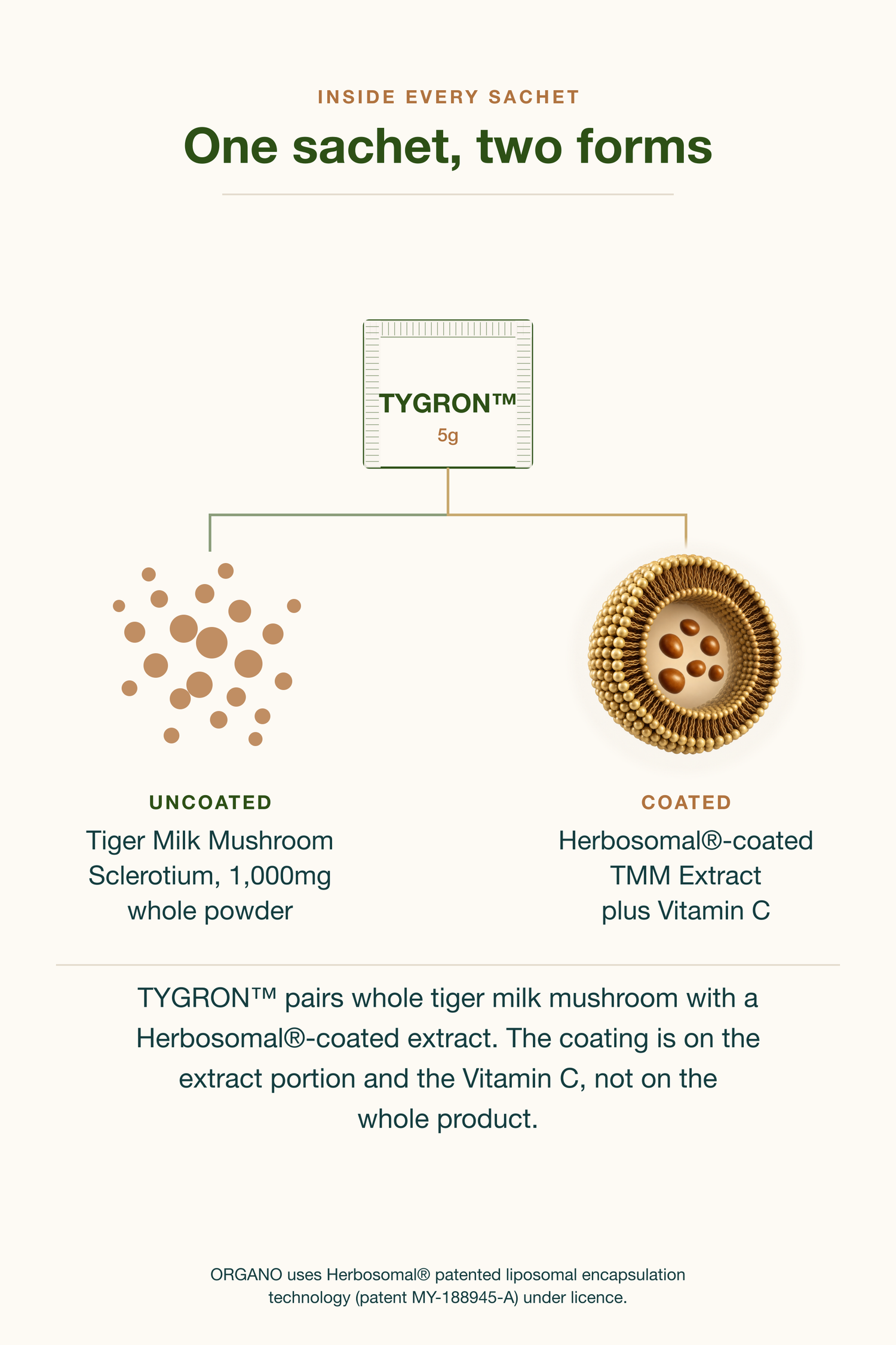 TYGRON diagram: one 5g sachet holds two forms. Uncoated whole tiger milk mushroom sclerotium at 1,000mg, and a Herbosomal-coated tiger milk mushroom extract with Vitamin C. The coating is on the extract portion and the Vitamin C, not the whole product.